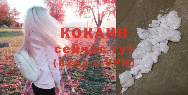 стафф Касимов
