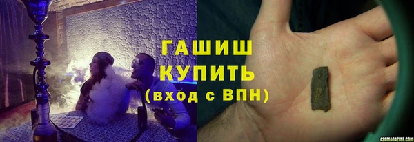 стафф Касимов
