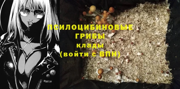 стаф Карталы