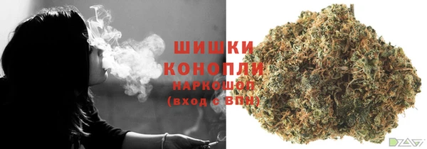 стафф Касимов