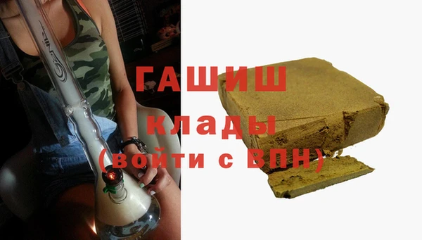 стафф Касимов