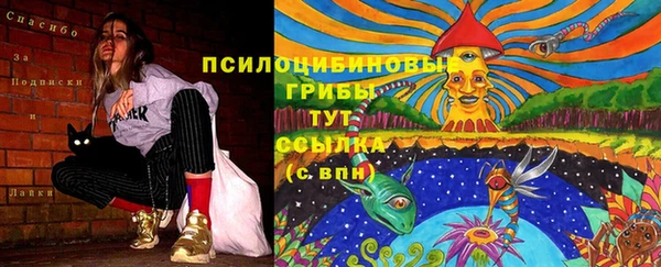 стаф Карталы