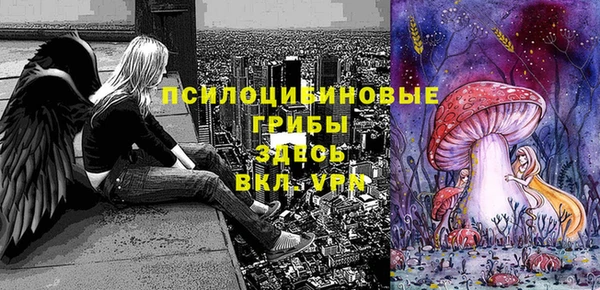 стаф Карталы