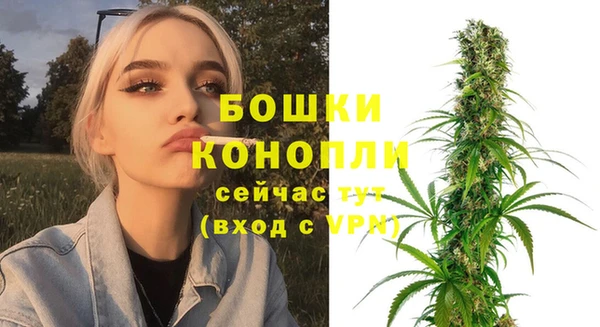 стафф Касимов