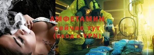 стафф Касимов