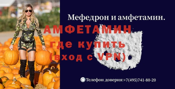 стафф Касимов