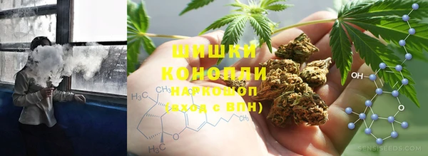 стафф Касимов