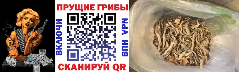 Купить закладки  Барабинск  Галлюциногенные грибы GOLDEN TEACHER 